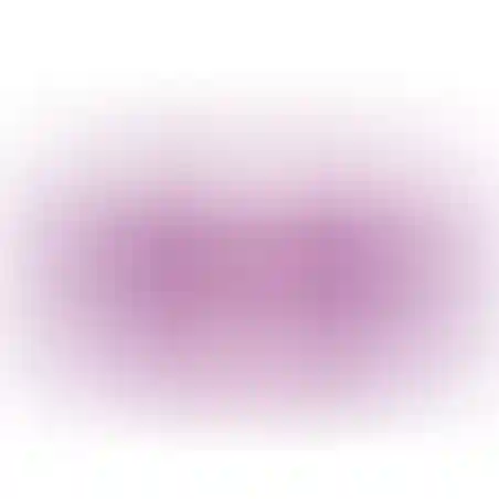 מיטה לכלב tarte rectangle small