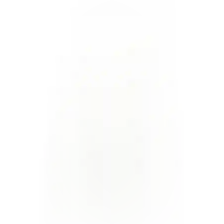 מקל מאריך לחמור 12 פיט