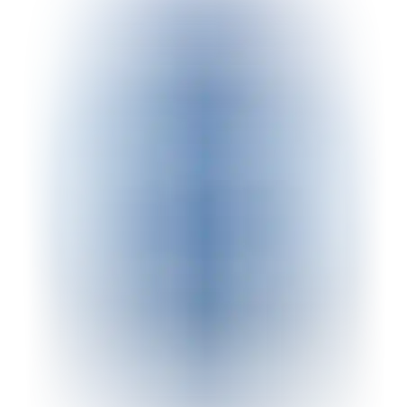 סירת WILDRIVER דגם BT-88822