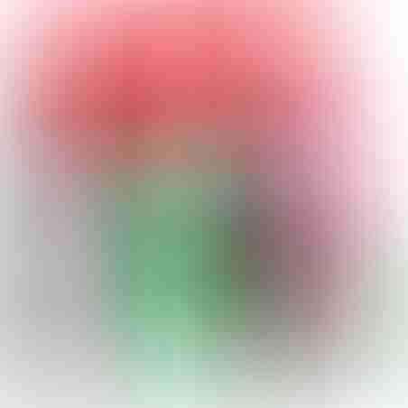 Nintendo Switch JoyCons Green/Pink יבוא נינטנדו
