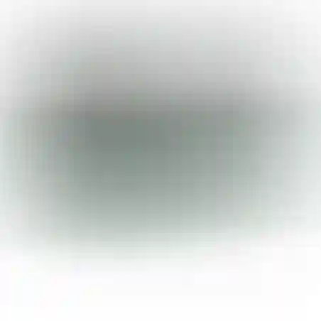 טרמפולינה מלבנית 396X213 ס