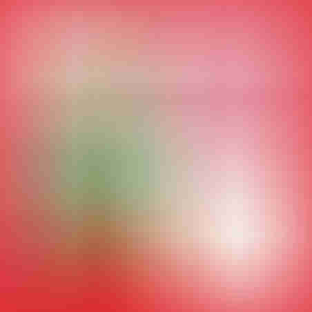 Tutti's Blanket شرشف توتي