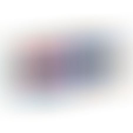 וילדה – ספוגיות לניקוי
