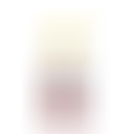 SPRINT FOAM – חומר לניקוי כללי חזק ללא סודה קאוסטיק
