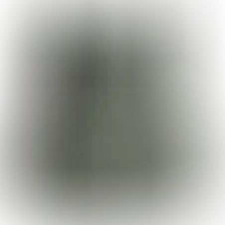 ווסט לוחם 'קומנדו'- מרעום דולפין