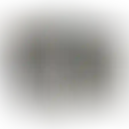 תפס מדונה לאפוד – מרעום דולפין