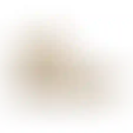 נעליים טקטיות לואה דגם מק 2 נמוך ( לציין בהערות מידה מידות החל מ36 עד 46)