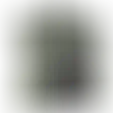 תיק ווסט משודרג מבית מרעום דולפין לנשיאת ואחסון הווסט שלך בצורה מיטבית.