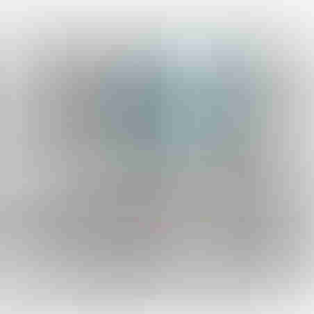 תמונת זכוכית אגרטלים בטורקיז דגם 310553