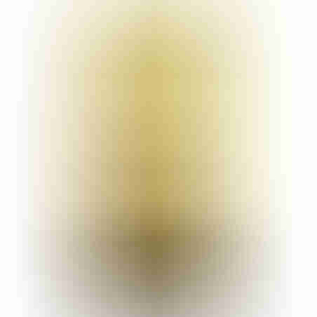 Dallmayr Crema Prodomo Coffee Beans 1KG