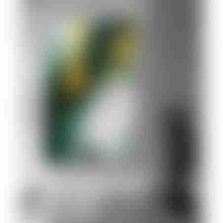 תמונה מיוחדת אבסטרקט ירוק על בד כותנה לסלון או למשרד דגם 240624