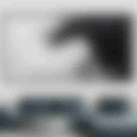 תמונת קנבס ממוסגרת אבסטרקט שחור לבן דגם 1711231