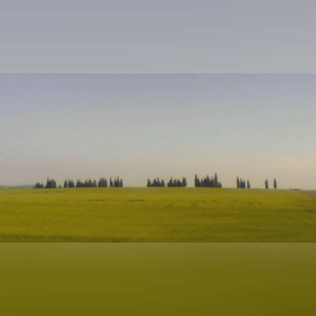 צילום נוף, ארץ | LANDscape