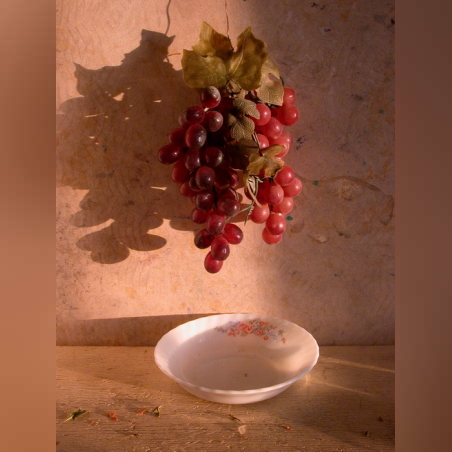 צילום טבע דומם | still life