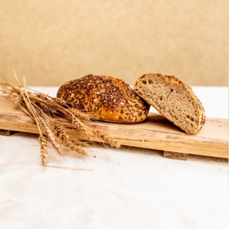 מחמצת דגנים