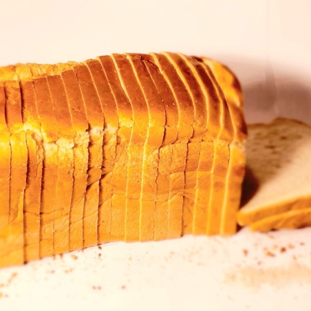 קסטן לבן גדול