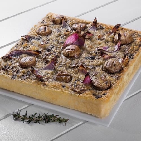 קיש בצל פטריות גדול