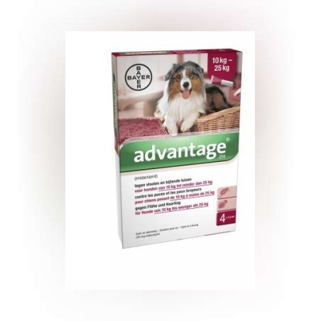 אדוונטיקס לכלב 10-25 ק”ג