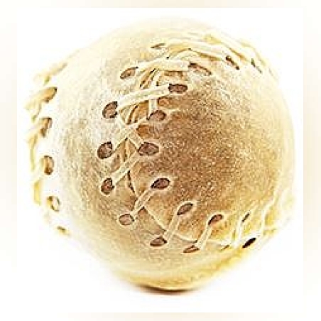 כדור בייסבול מעושן L לכלב