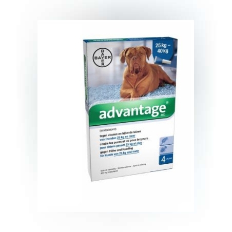 אדוונטיקס לכלב מעל 25 ק”ג