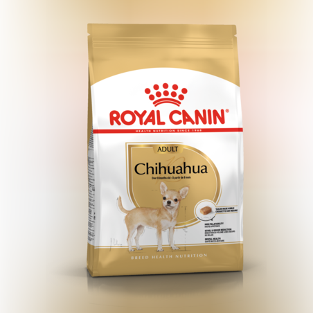 רויאל קנין כלב צ’יואווה בוגר 2 ק