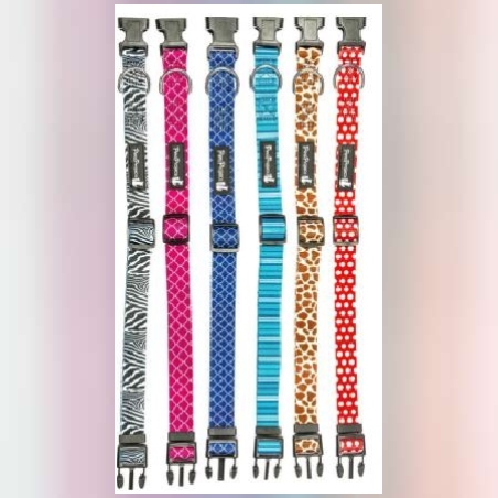 קולר בד צבעוני לכלבים פטסלנד