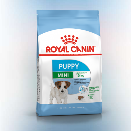 רויאל קנין גורים גזע קטן מיני ג'וניור 4 ק