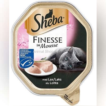 שיבא מעדן סלמון מוס פטה לחתולים 85 גר'