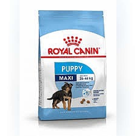 Royal Canin רויאל קנין 140 גרם מזון רטוב (פאוץ') לכלבים גורים מגזע גדול (מקסי פאפי)