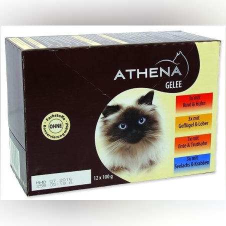 אתנה פאוצ’ בג’לי לחתול