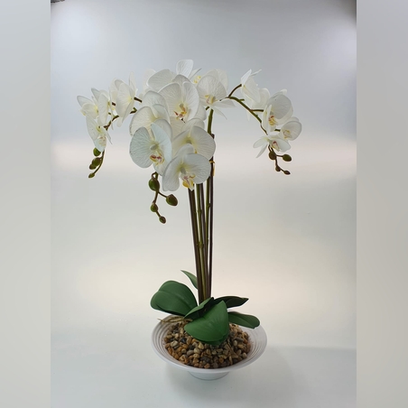 עציץ סחלב 53 ס