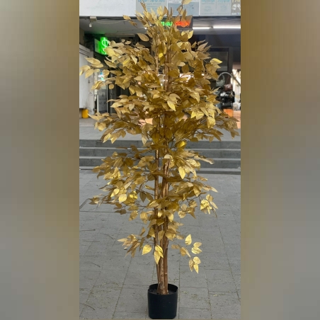 -דגם: עציץ פיקוס זהב