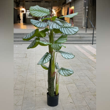 -דגם צמחיה