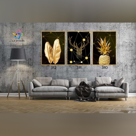 שלישיה ממוסגרת 310,311,312