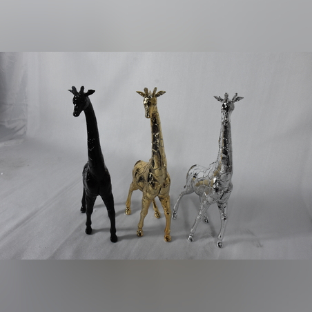 היישר מהיבואן - ג'ירפות