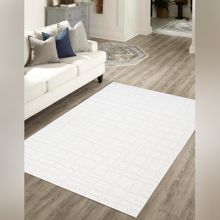 - שטיח נעים פרוותי ומודרני  3