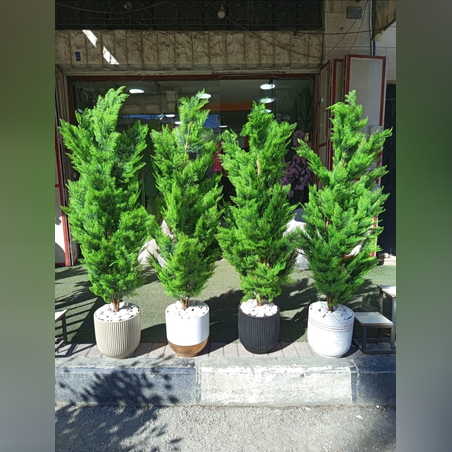 עציץ דקורטיבי