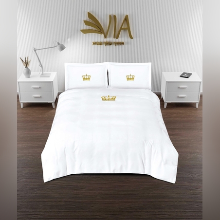 - דגם   לואי 1