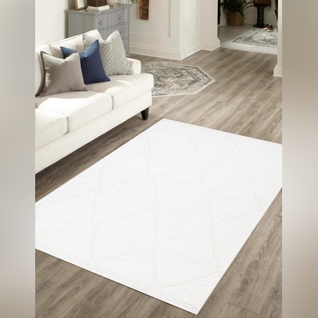 - שטיח מיוחד פרוותי מודרני 1