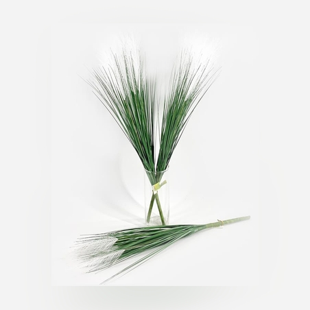 צמח דשא נוצות בינוני 72 ס