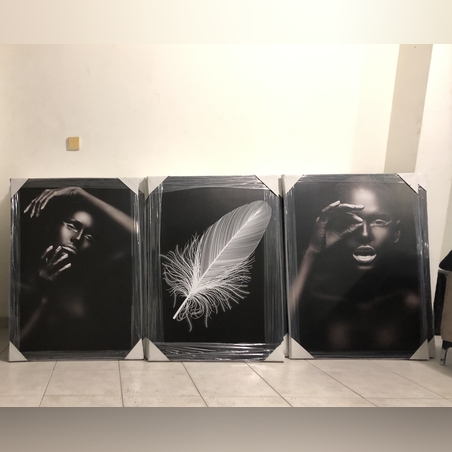 שלישית אפריקאיות דגם 877