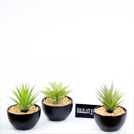 עציץ נוי - שחור 1599