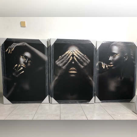 שלישית אפריקאיות דגם 867