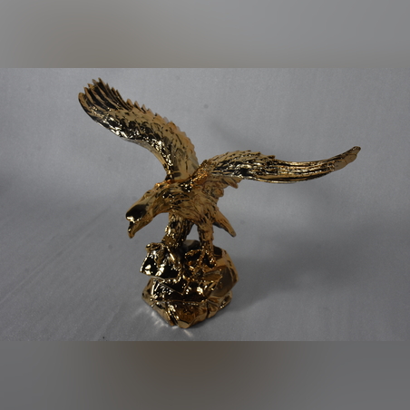 היישר מהיבואן - נשר זהב