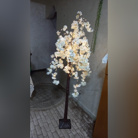עץ תאורה דקורטיבי