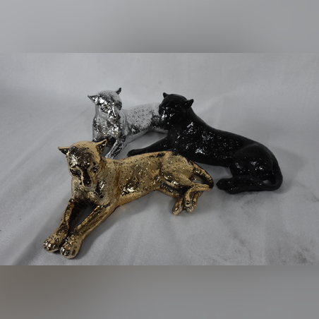 היישר מהיבואן - נמר שוכב 