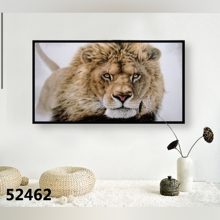 תמונה דגם: 52462