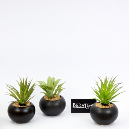 עציץ נוי - 1598