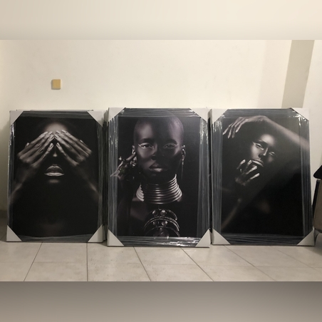 שלישית אפריקאיות דגם 874