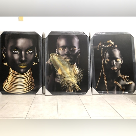 שלישית אפריקאיות דגם 864